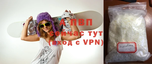 стаф Осташков