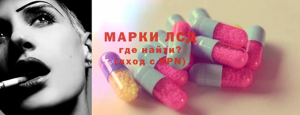 стаф Осташков