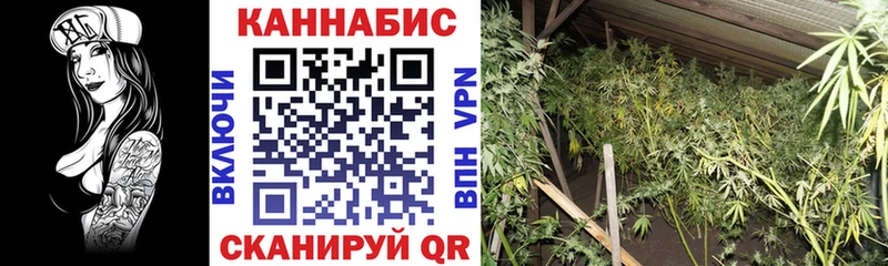 Бошки Шишки VHQ  Лакинск 